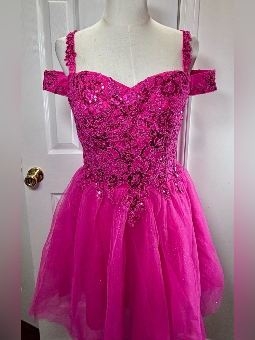 Hot Pink Embroidered Tulle Party Dress Homecoming/Prom W/ Corset Size 10